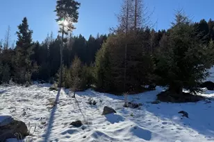 94 Grafton Rd, Tonasket, WA 98855 - Photo 13