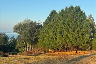 0 15 Whalen Dr, Point Roberts, WA 98281 - Photo 3