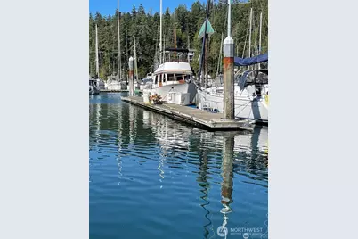 308913 Us-101 #C40, Brinnon, WA 98320 - Photo 3