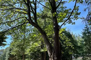 [Address not provided], Camano Island, WA 98282 - Photo 17