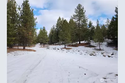 10 Mountain View Road, Republic, WA 99166 - Photo 15