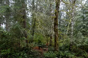 11416 86th St Ct, Anderson Island, WA 98303 - Photo 1