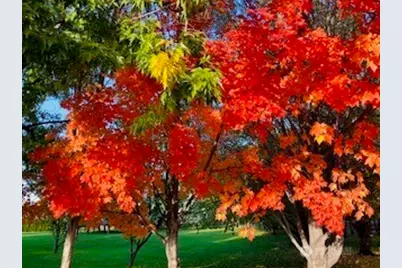 2720 NW Cascade Avenue, East Wenatchee, WA 98802 - Photo 37