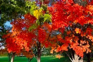 2720 NW Cascade Ave, East Wenatchee, WA 98802 - Photo 37