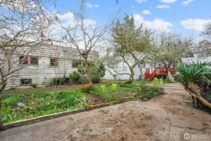 1142 N 77th St, Seattle, WA 98103 - Photo 3