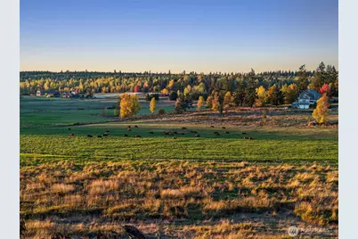 42524 Dean Kreger Rd E, Eatonville, WA 98328 - Photo 39