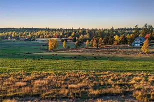 42524 Dean Kreger Rd E, Eatonville, WA 98328 - Photo 39