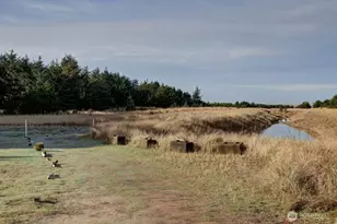 1504 170th Pl, Long Beach, WA 98631 - Photo 5