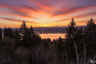 7017 NE 132, Kirkland, WA 98034 - Photo 1