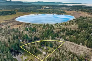 40407 Mountain Hwy E, Eatonville, WA 98328 - Photo 11