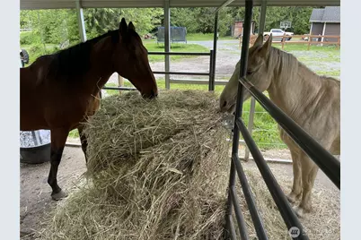 40407 Mountain Highway E, Eatonville, WA 98328 - Photo 29