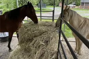 40407 Mountain Hwy E, Eatonville, WA 98328 - Photo 29