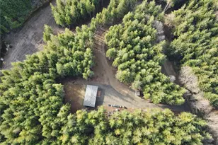 97 Dempsey Creek Ln, Aberdeen, WA 98520 - Photo 3