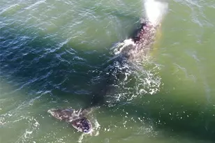 2999 Saratoga Rd, Langley, WA 98260 - Photo 37