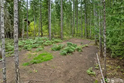 1341 N Potlatch Drive, Hoodsport, WA 98548 - Photo 5