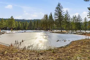 15 Gold Leaf Ln, Cle Elum, WA 98922 - Photo 1