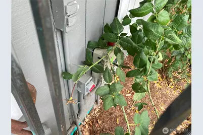 511 190th Street E, Spanaway, WA 98387 - Photo 33