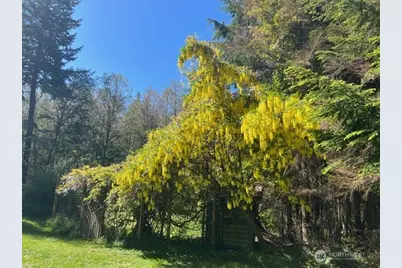 91 Coastline Drive, Orcas Island, WA 98279 - Photo 39