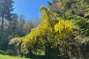 91 Coastline Dr, Orcas Island, WA 98279 - Photo 39