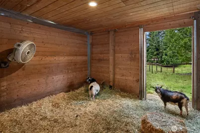 11807 322nd Avenue NE, Duvall, WA 98019 - Photo 23