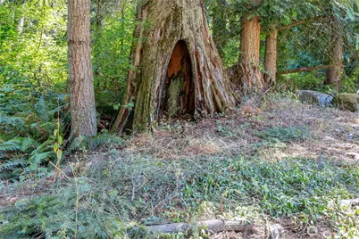 32215 122nd Street E, Buckley, WA 98321 - Photo 29