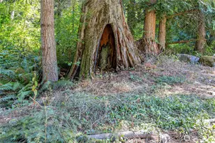 32215 122nd St E, Buckley, WA 98321 - Photo 29