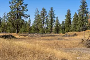 36321 S Bootstrap Ln, Cheney, WA 99004 - Photo 9