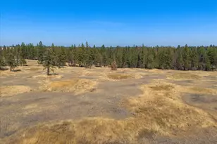 36377 S Bootstrap Ln, Cheney, WA 99004 - Photo 7