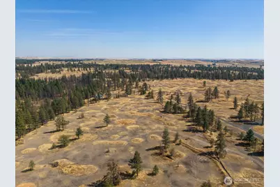 36377 S Bootstrap Ln, Cheney, WA 99004 - Photo 11