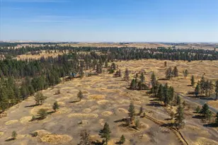 36377 S Bootstrap Ln, Cheney, WA 99004 - Photo 11