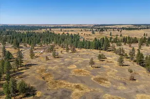 36377 S Bootstrap Ln, Cheney, WA 99004 - Photo 9