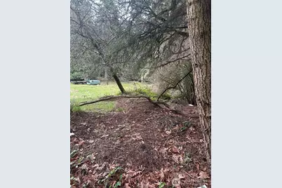 0 Kramer Road, Langley, WA 98260 - Photo 3