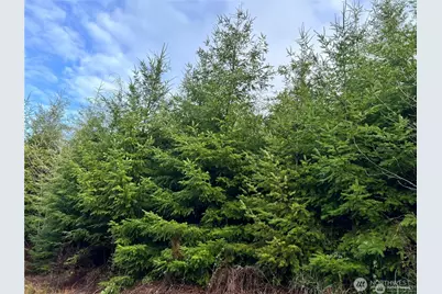 0 Hwy 101, Cosmopolis, WA 98537 - Photo 3