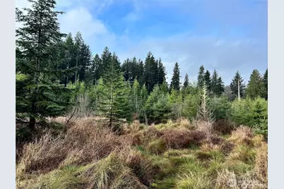 0 Hwy 101, Cosmopolis, WA 98537 - Photo 5
