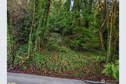 43 Fernbrook Drive, Mercer Island, WA 98040 - Photo 3
