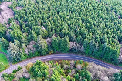 0 Copalis Beach Road, Copalis Beach, WA 98535 - Photo 13