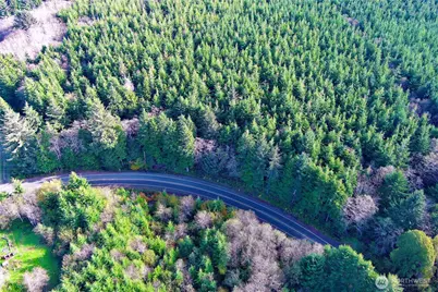 0 Copalis Beach Road, Copalis Beach, WA 98535 - Photo 9