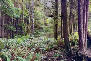 0 Copalis Beach Rd, Copalis Beach, WA 98535 - Photo 1