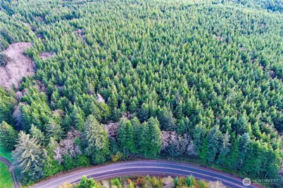 0 Copalis Beach Road, Copalis Beach, WA 98535 - Photo 7