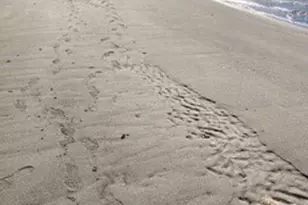 3418 Rose Ln, Camano Island, WA 98282 - Photo 37