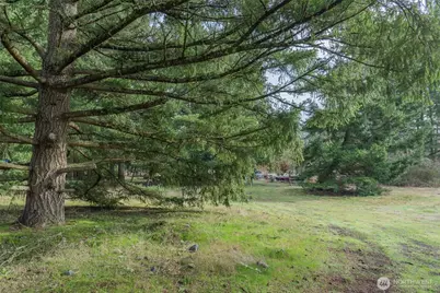 11025 Vancil Road SE, Yelm, WA 98597 - Photo 23