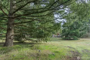 11025 Vancil Rd SE, Yelm, WA 98597 - Photo 23