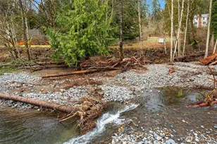 23203 Upper Dorre Don Way SE, Maple Valley, WA 98038 - Photo 31