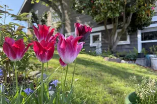 3231 Grand Ave, Everett, WA 98201 - Photo 39