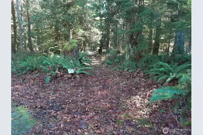 9306 Dandy Place, Rockport, WA 98283 - Photo 39