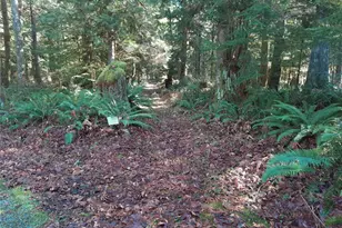 9306 Dandy Pl, Rockport, WA 98283 - Photo 39