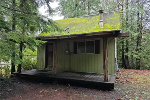 411 Elk Dr, Brinnon, WA 98320 - Photo 1