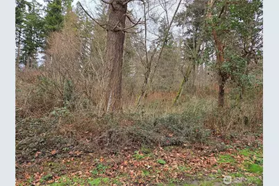 103 B Whidbey Island Drive, Hat Island, WA 98206 - Photo 3