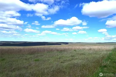 2367 Scott Station Road, Prescott, WA 99348 - Photo 5