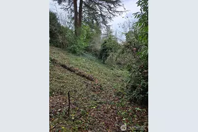 14014 41st Avenue NE, Seattle, WA 98125 - Photo 5